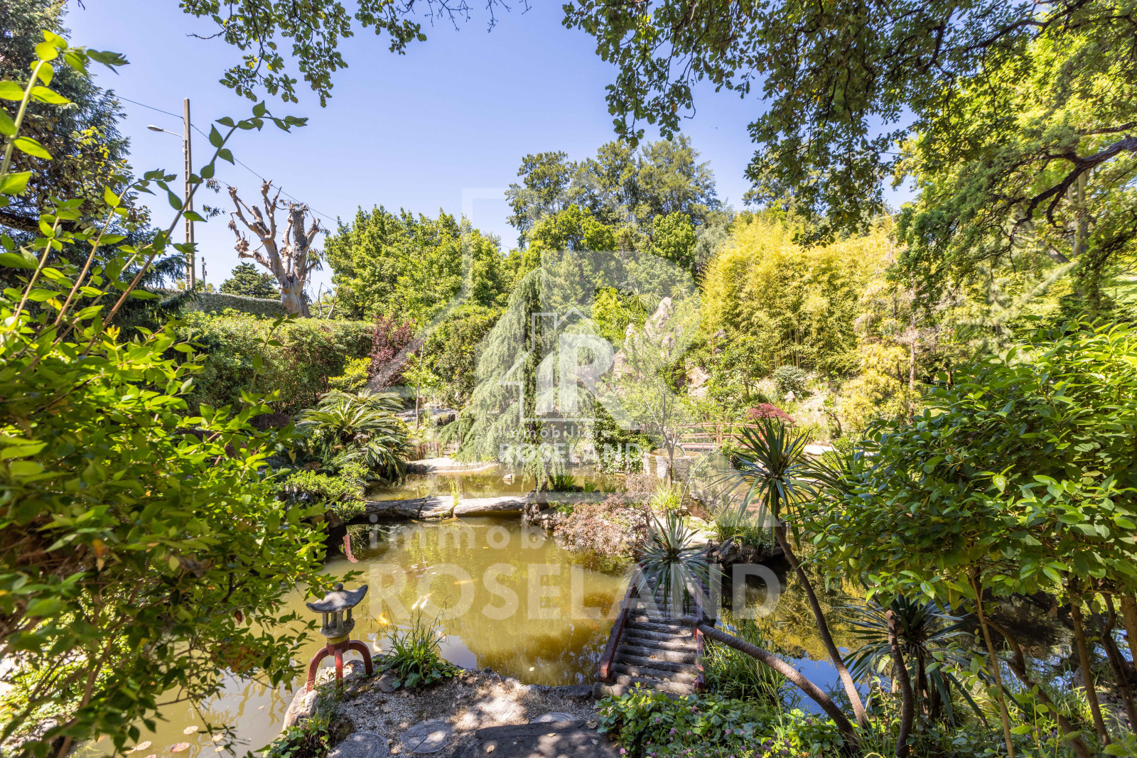 Image_, Appartement, Cannes, ref :2025-09-04