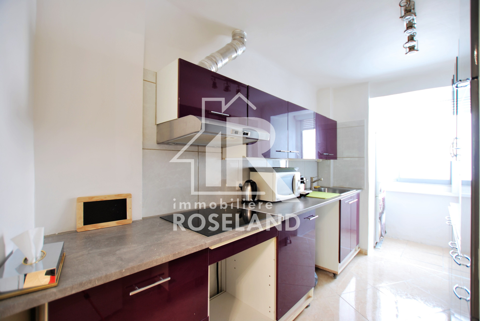 Image_, Appartement, Nice, ref :VAP730005271