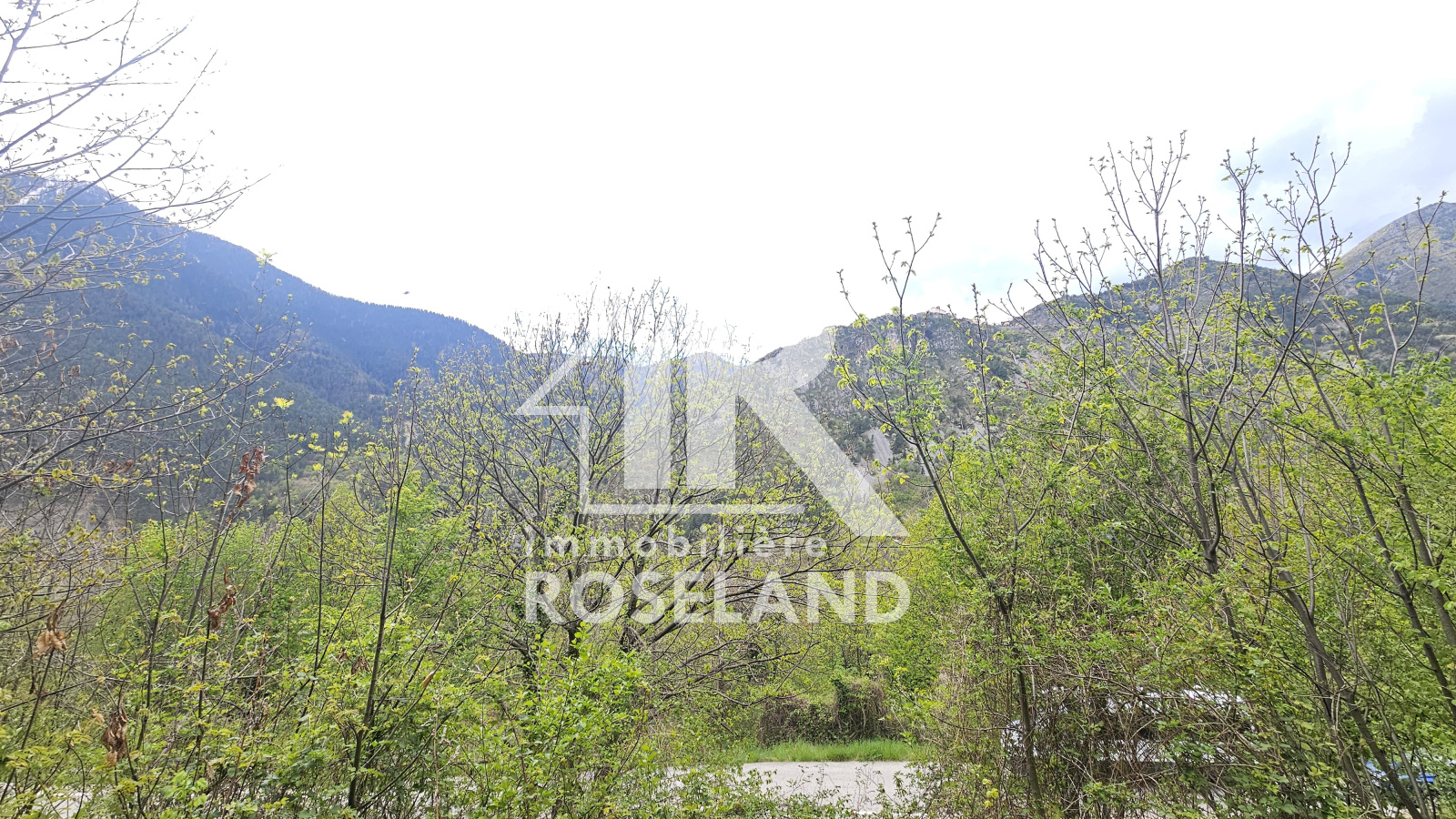 Image_, Terrain, Saint-Martin-Vésubie, ref :VTE730005599