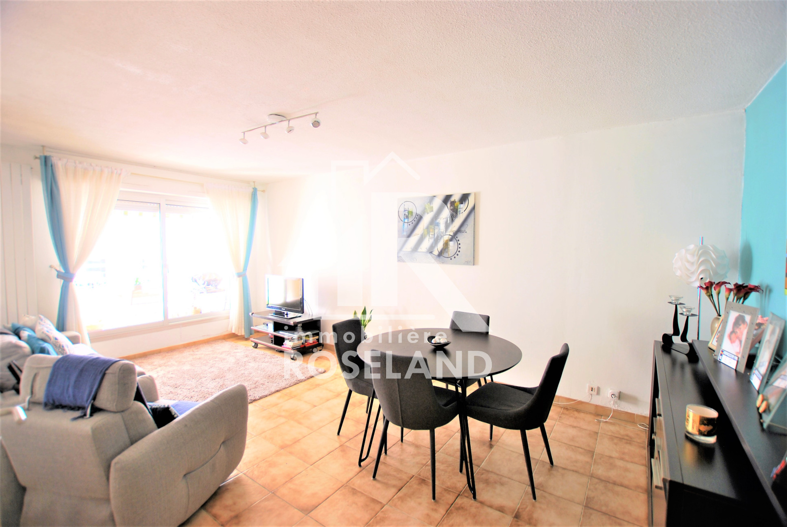 Image_, Appartement, Nice, ref :VAP100004746