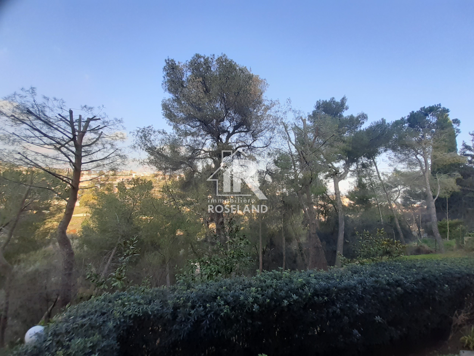 Image_, Appartement, Nice, ref :2025-11-1