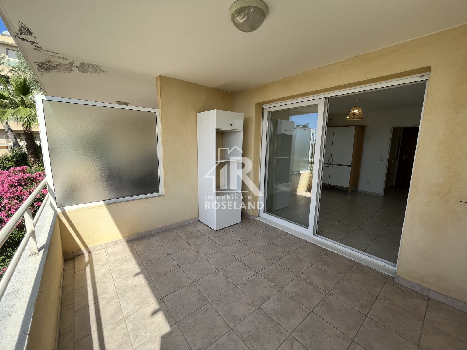 Image_, Appartement, Nice, ref :2026-05-15