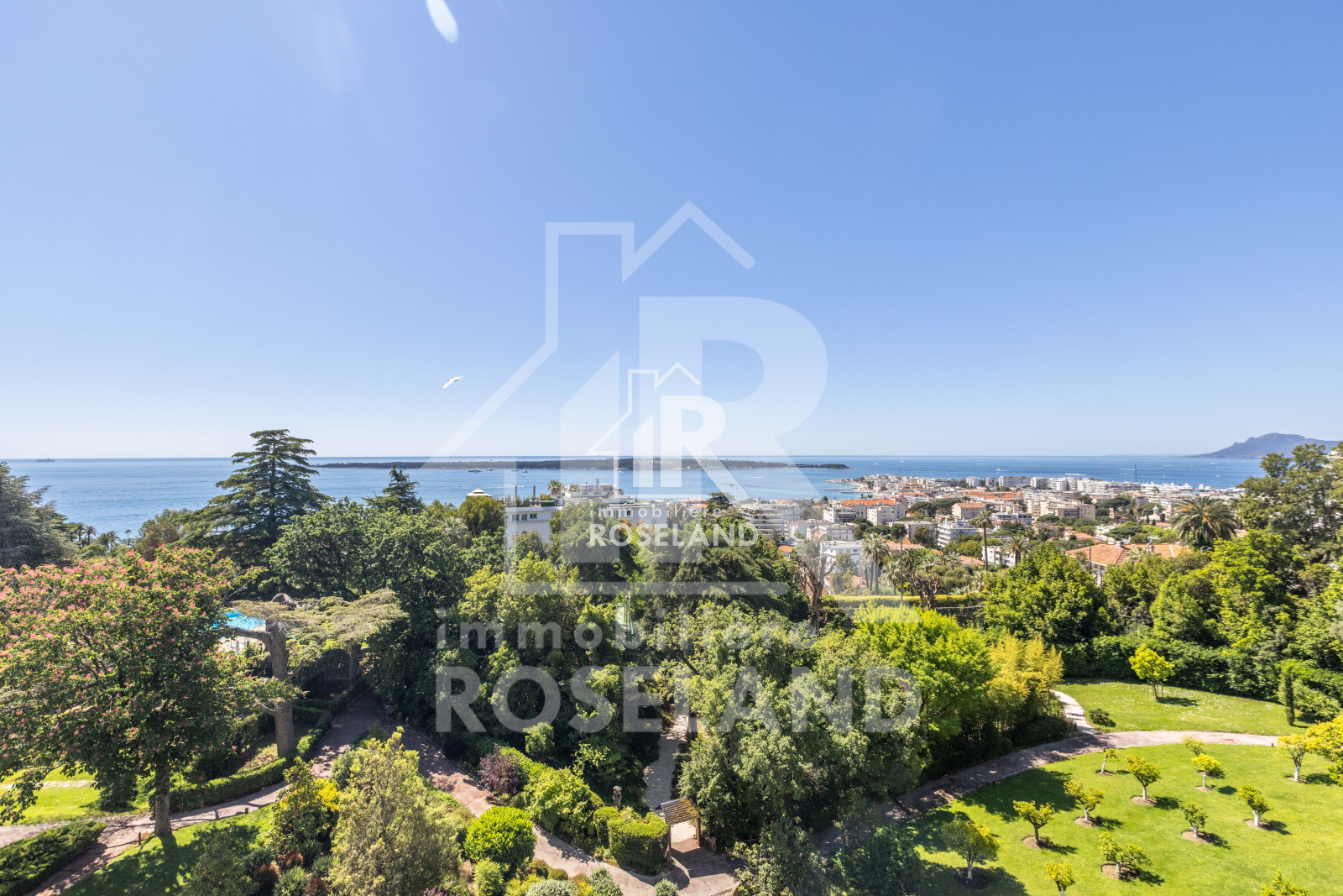 Image_, Appartement, Cannes, ref :2024-07-24