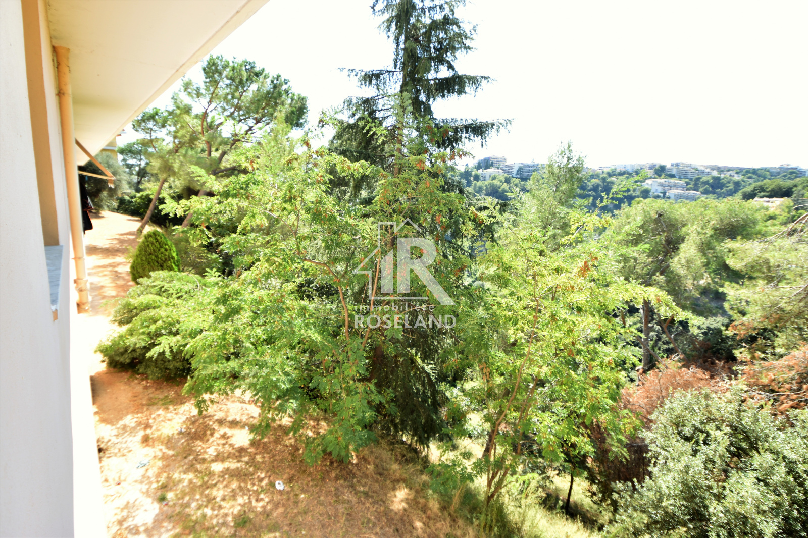 Image_, Appartement, Nice, ref :20200915