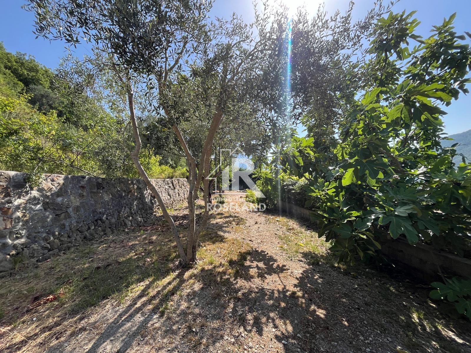 Image_, Maison, Pierrefeu, ref :170118