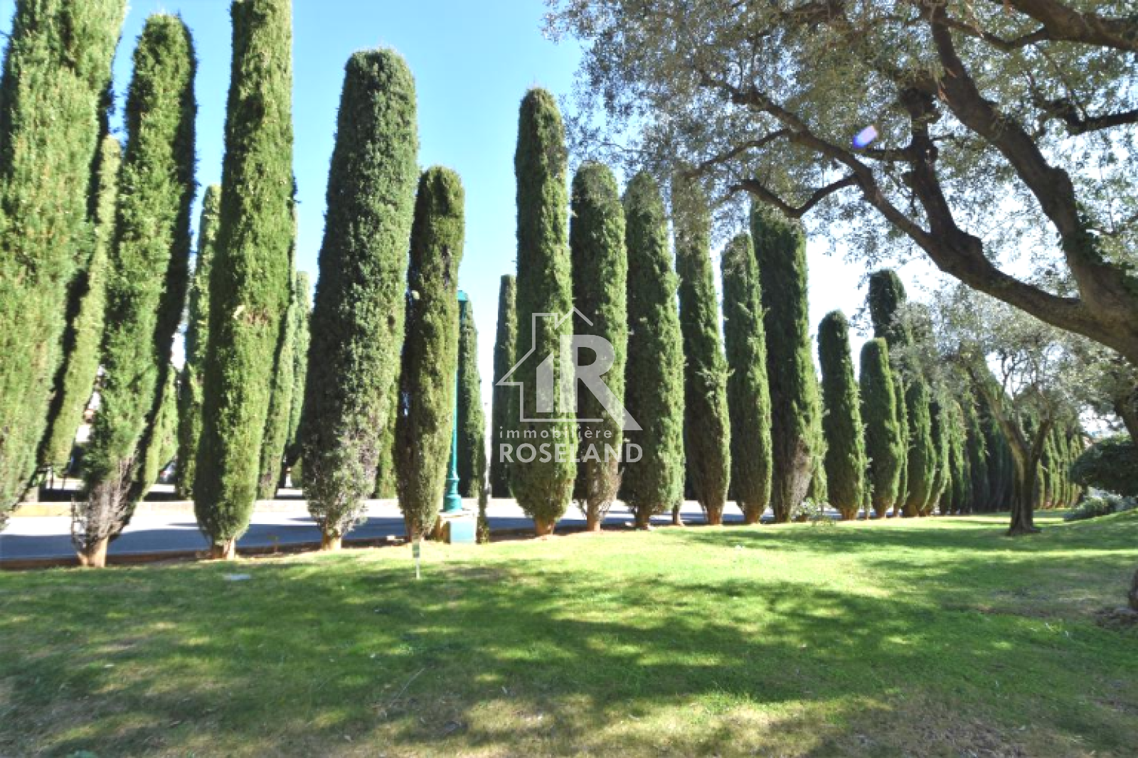 Image_, Studio, Nice, ref :0005