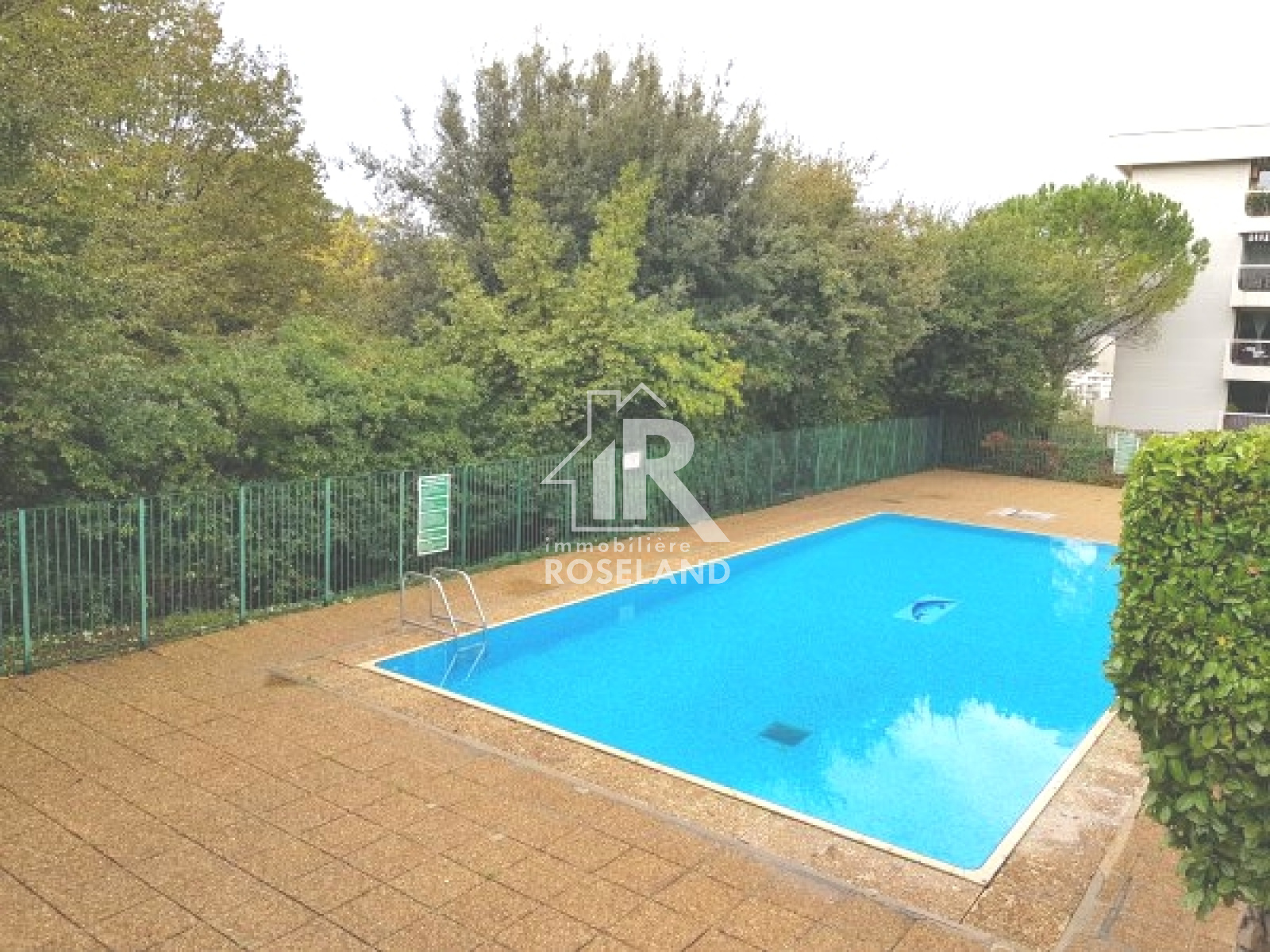 Image_, Studio, Nice, ref :202409191