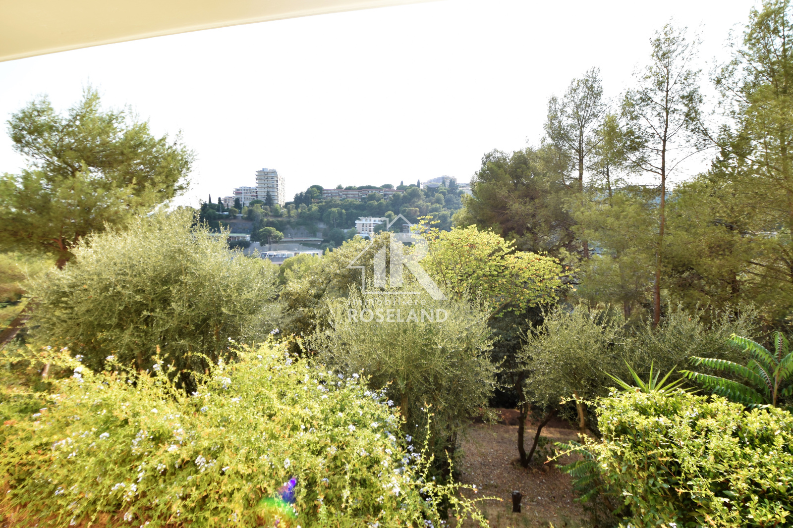 Image_, Appartement, Nice, ref :LAP10004379