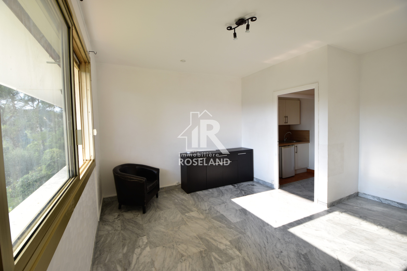 Image_, Appartement, Nice, ref :LAP10004379