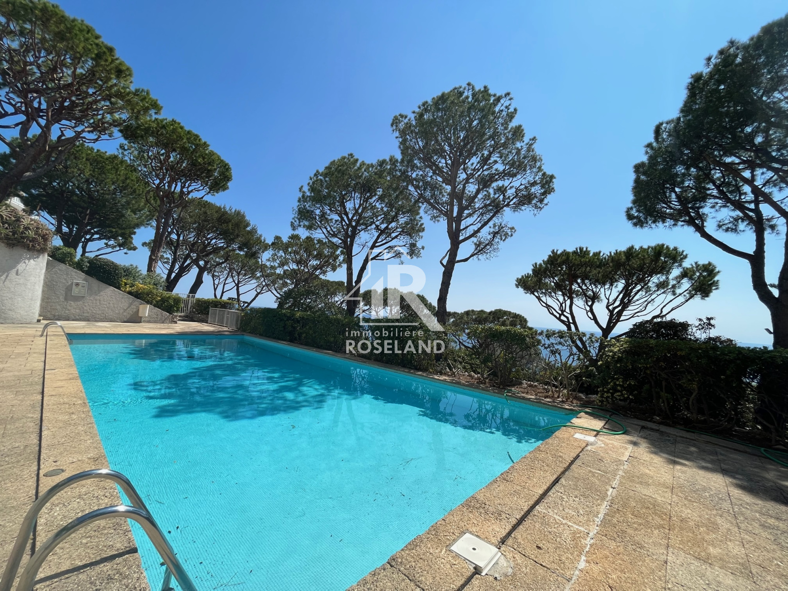 Image_, Studio, Nice, ref :2026-04-20