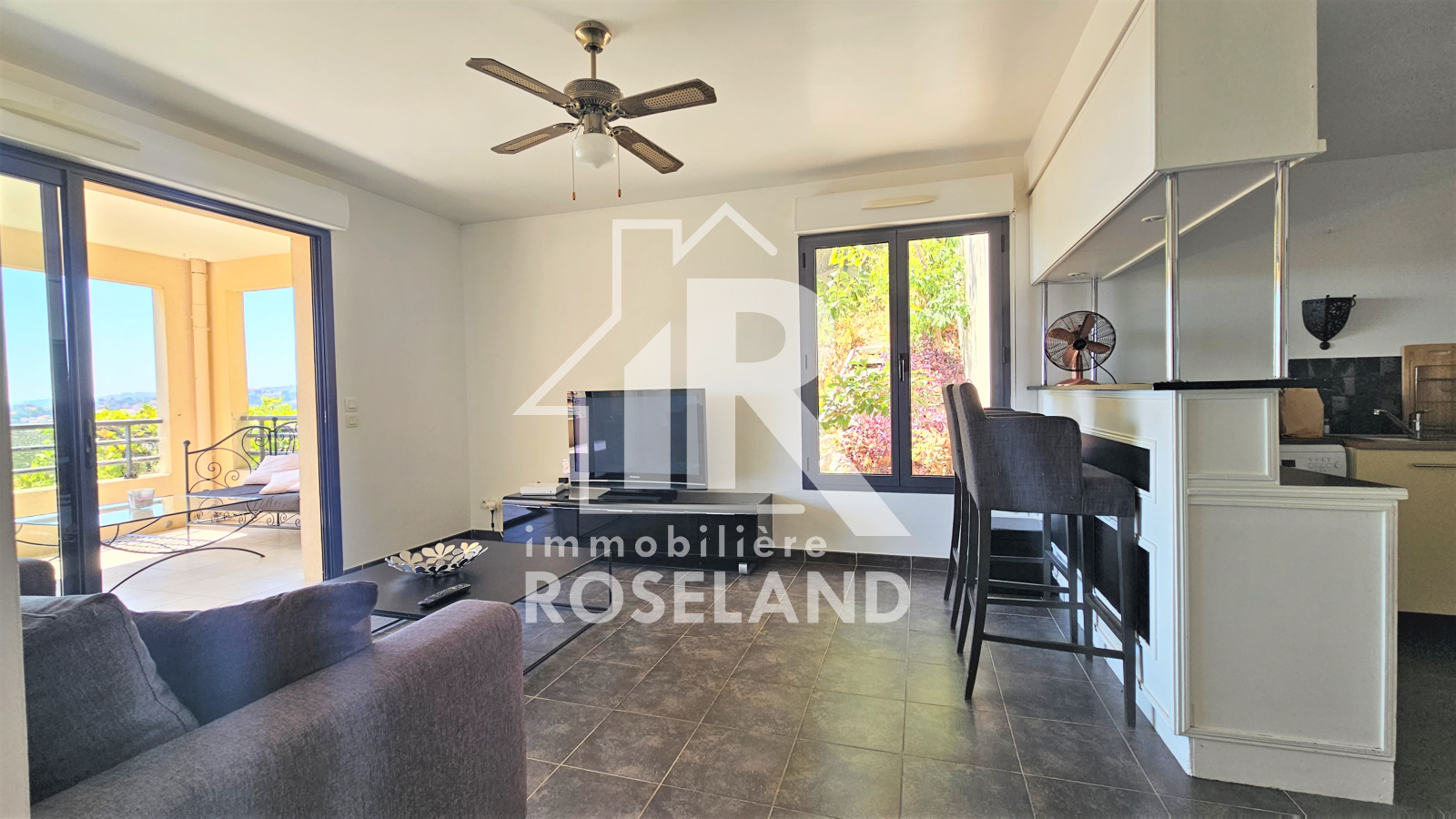 Image_, Appartement, Nice, ref :VAP730005461