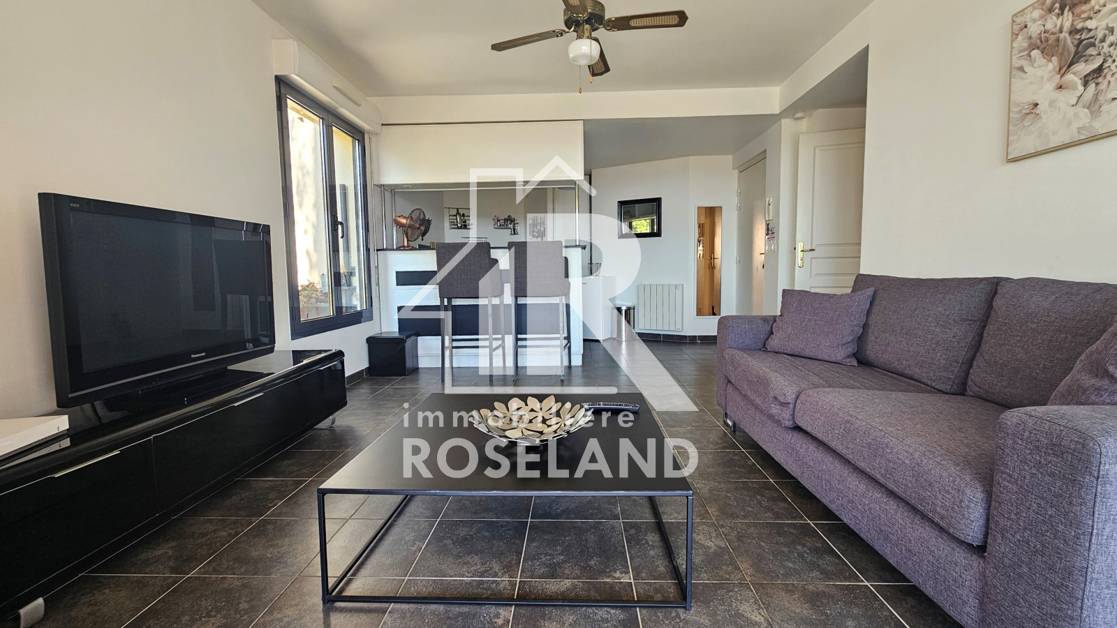 Image_, Appartement, Nice, ref :VAP730005461