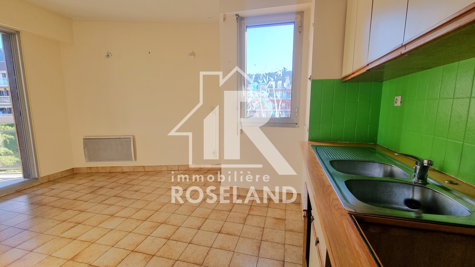 Image_, Appartement, Nice, ref :VAP20005209