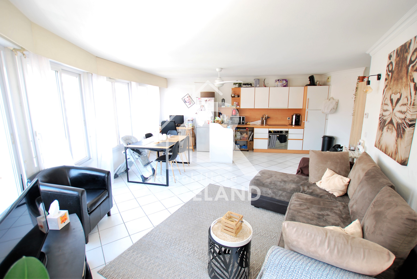 Image_, Appartement, Nice, ref :VAP100005035