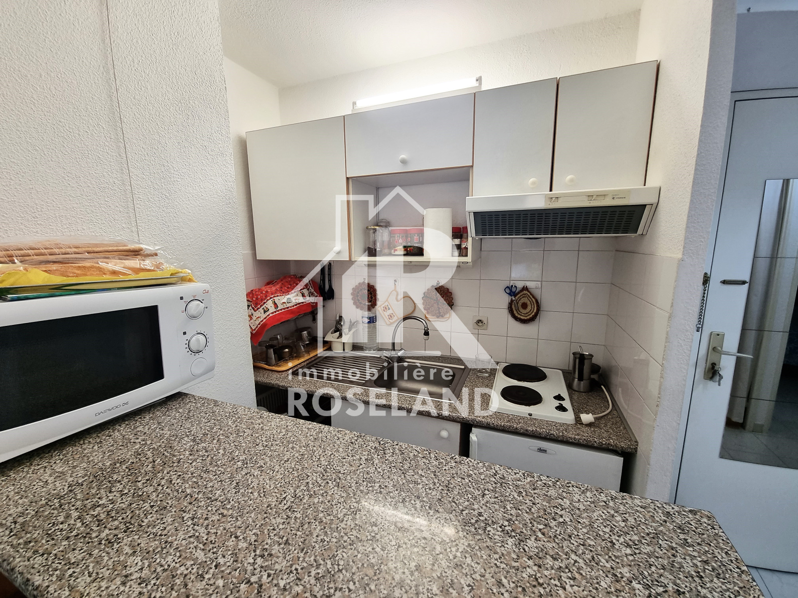 Image_, Rez de jardin, Nice, ref :VRE20005339