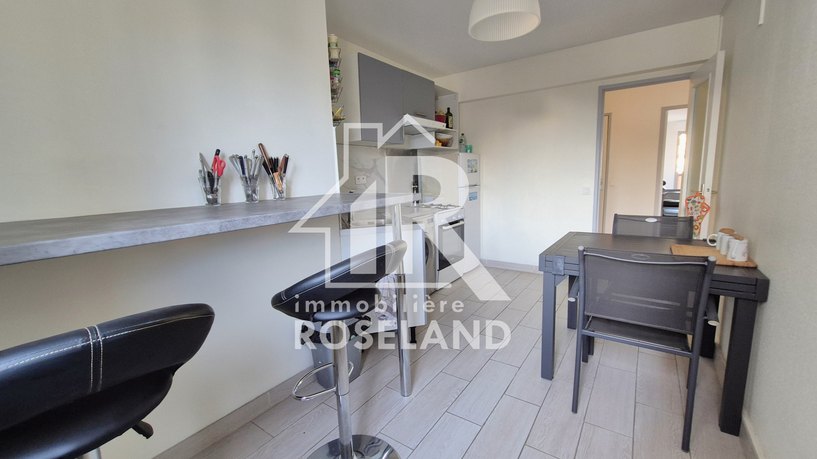 Image_, Appartement, Nice, ref :VAP110005964