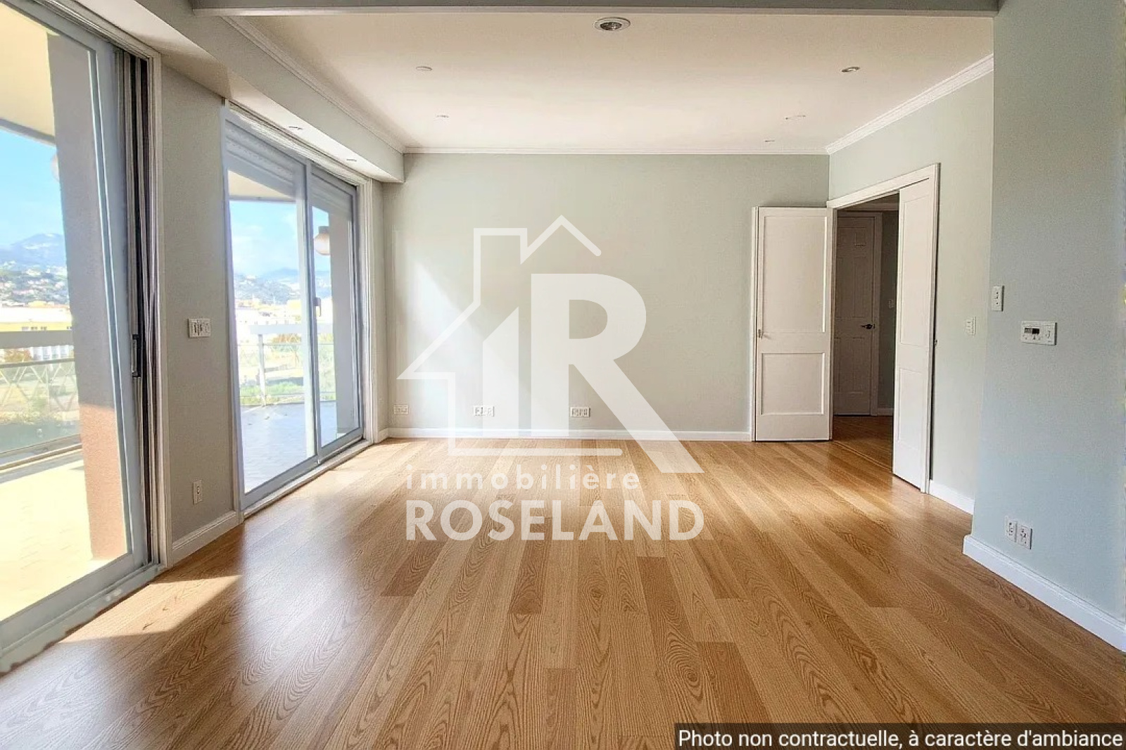 Image_, Appartement, Nice, ref :VAP20005884