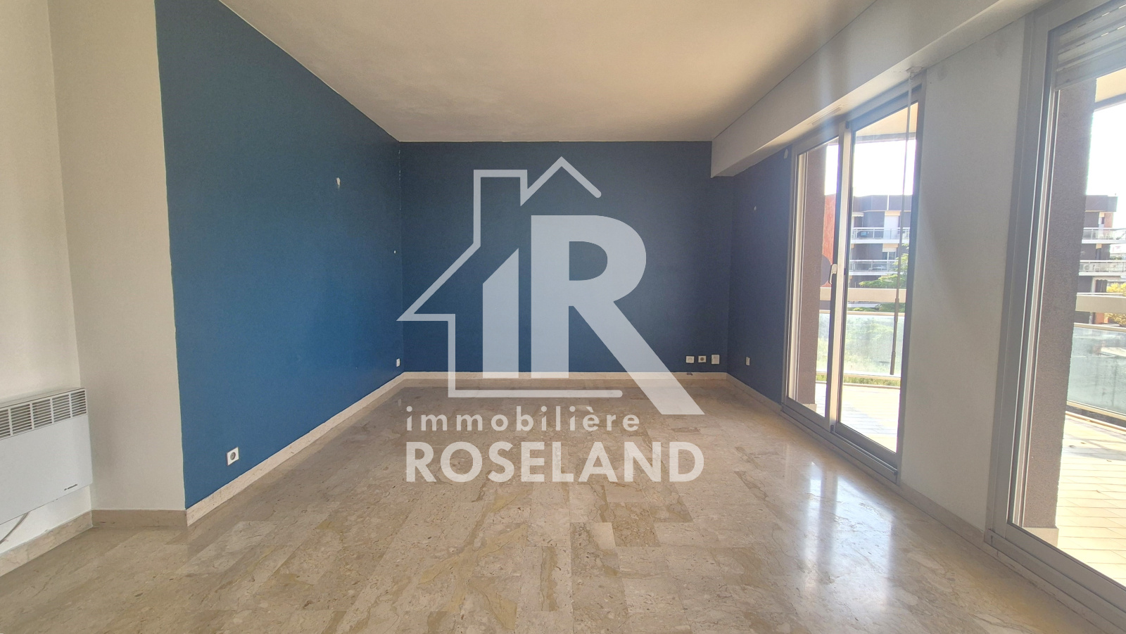 Image_, Appartement, Nice, ref :VAP20005884