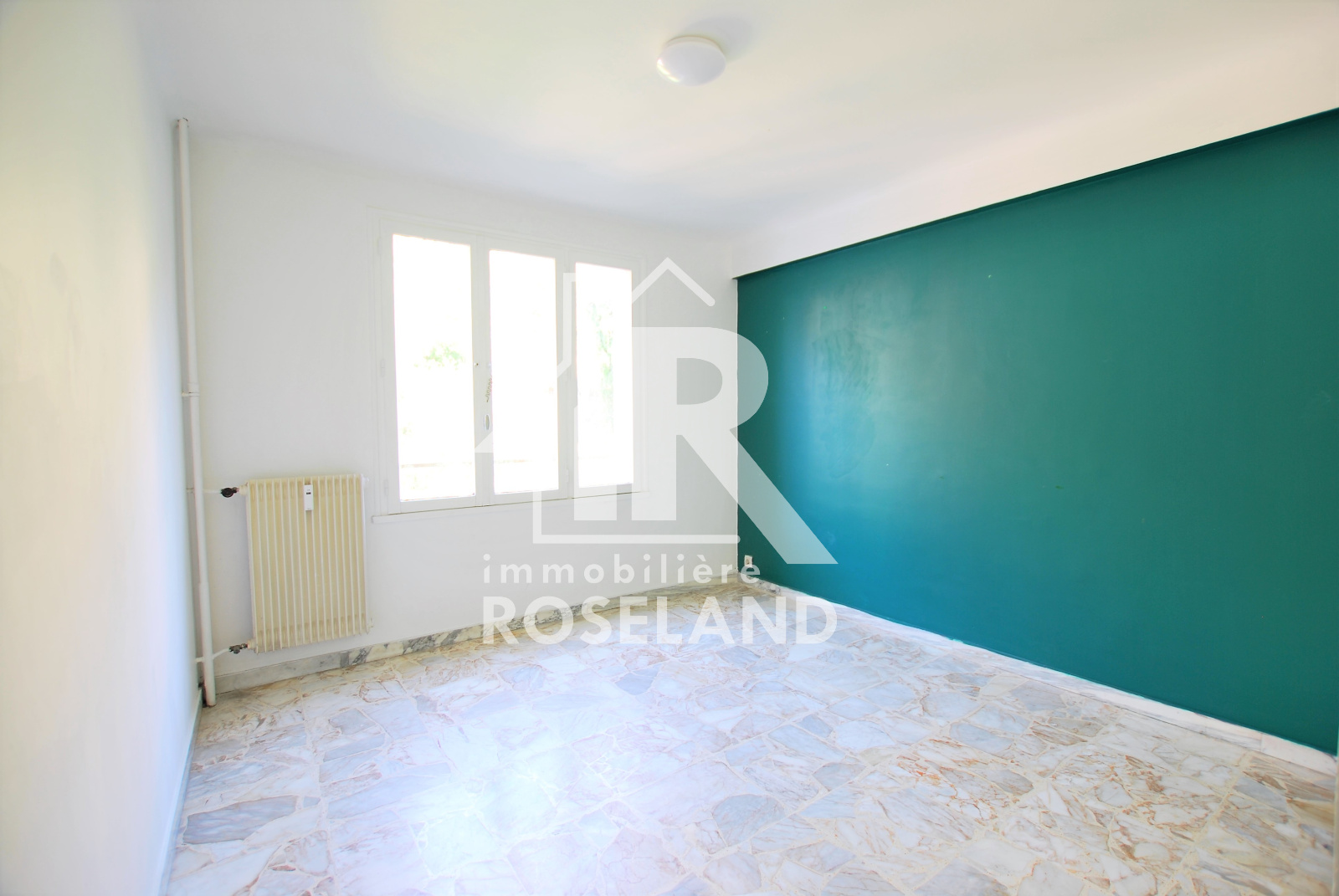 Image_, Appartement, Nice, ref :VAP730004930