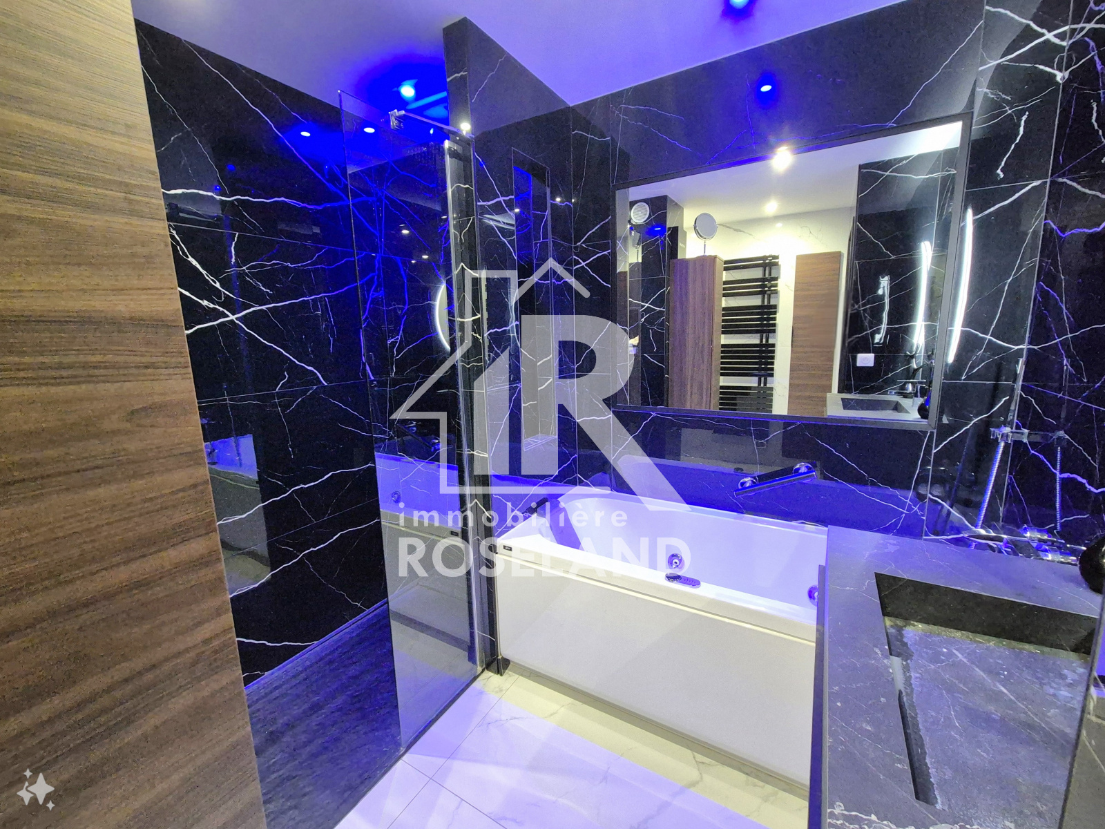 Image_, Appartement, Nice, ref :VAP20005601