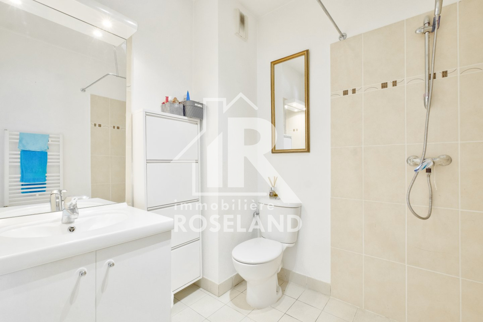 Image_, Appartement, Nice, ref :VAP100005656