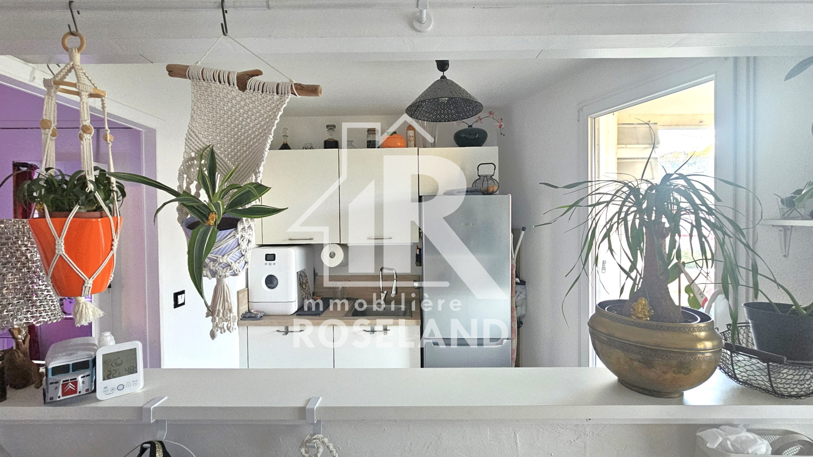 Image_, Studio, Nice, ref :VST730005939