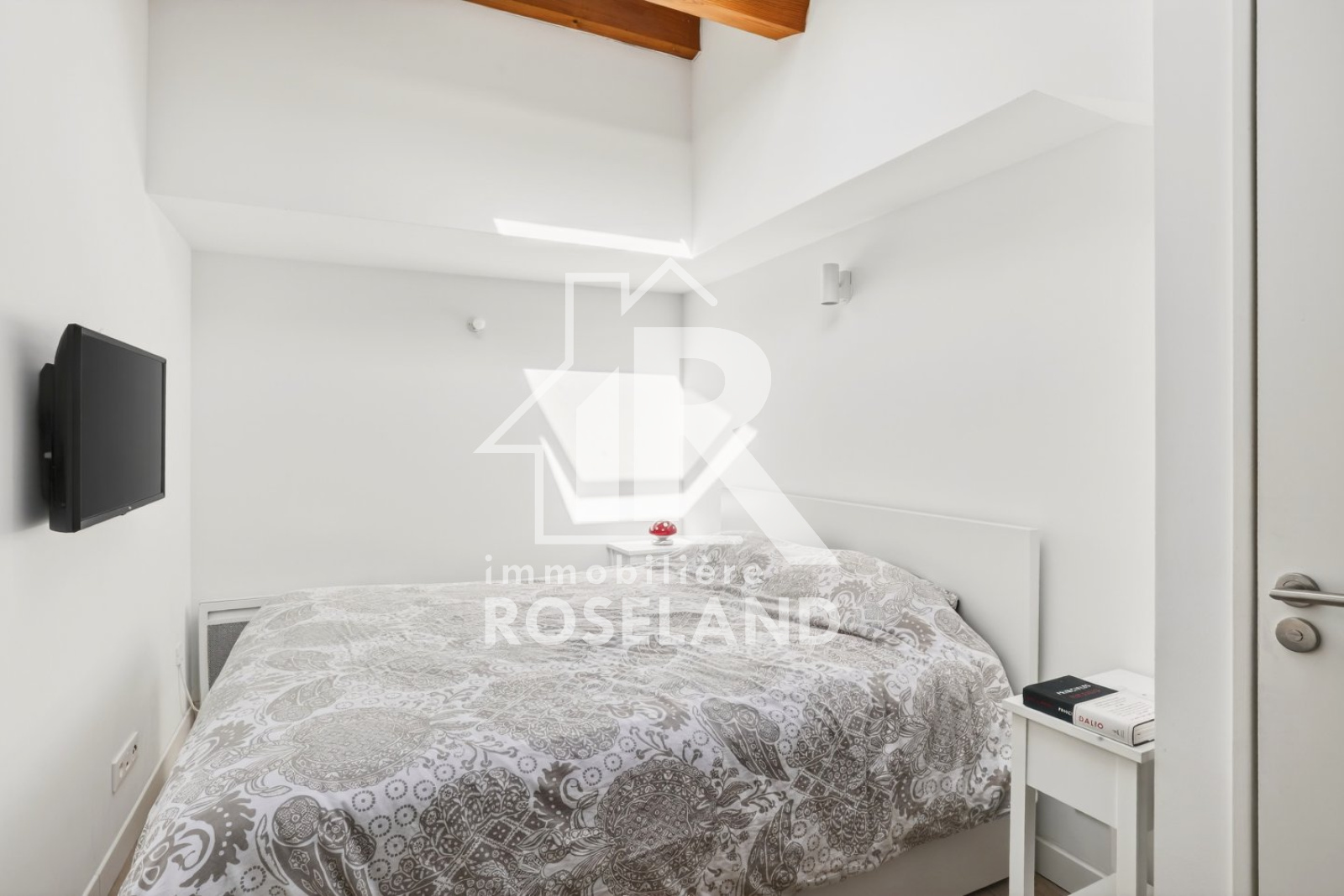 Image_, Duplex, Nice, ref :VDU100006004