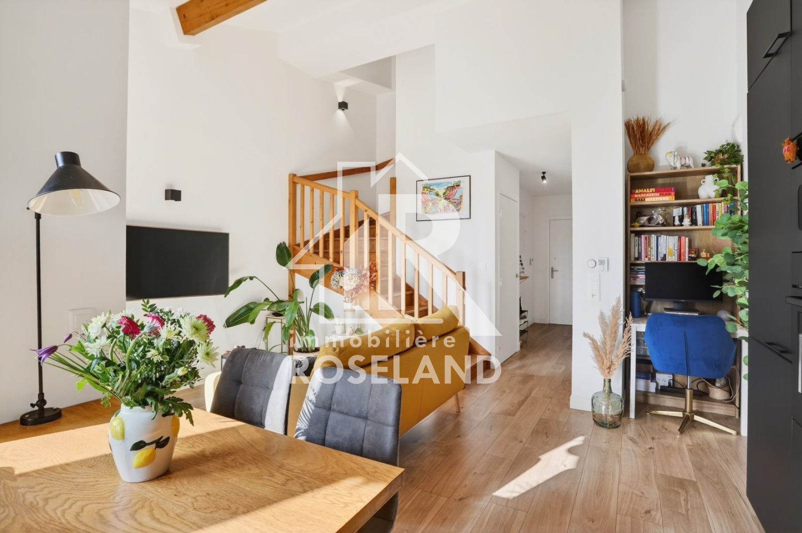 Image_, Duplex, Nice, ref :VDU100006004