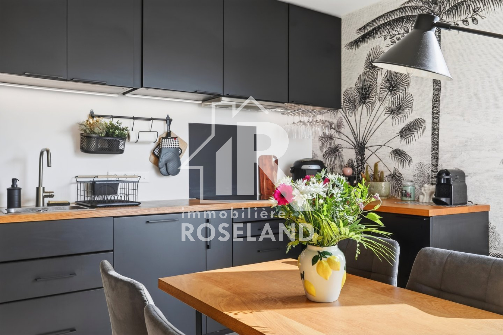 Image_, Duplex, Nice, ref :VDU100006004