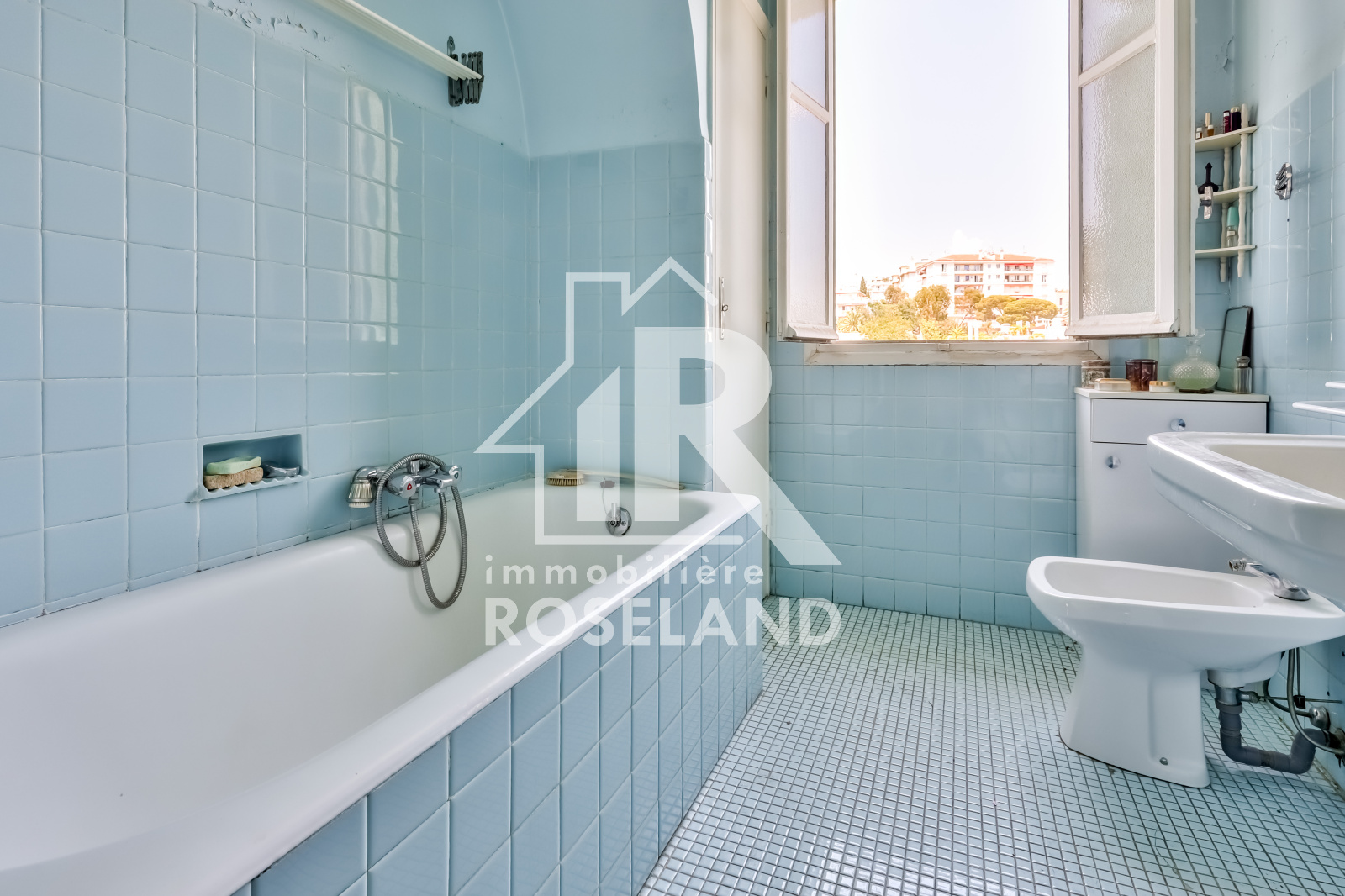 Image_, Appartement, Nice, ref :VAP20005456